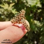 انگشتر رکاب برنجی جابان مدل مردانه رکاب فارسی