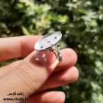 رکاب انگشتر زنانه از جنس نقره مدل آیسان