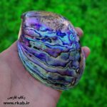 صدف آبالون برای گوهر تراشی کیفیت درجه A وارداتی رکاب فارسی