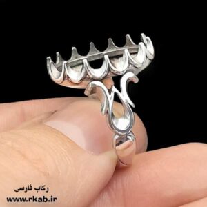 رکاب مان استیل رخش بدنه سیاه قلم تا مغزسفید رکاب فارسی