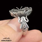 رکاب مان استیل کشیت تا مغزسفید بدنه سیاه قلم